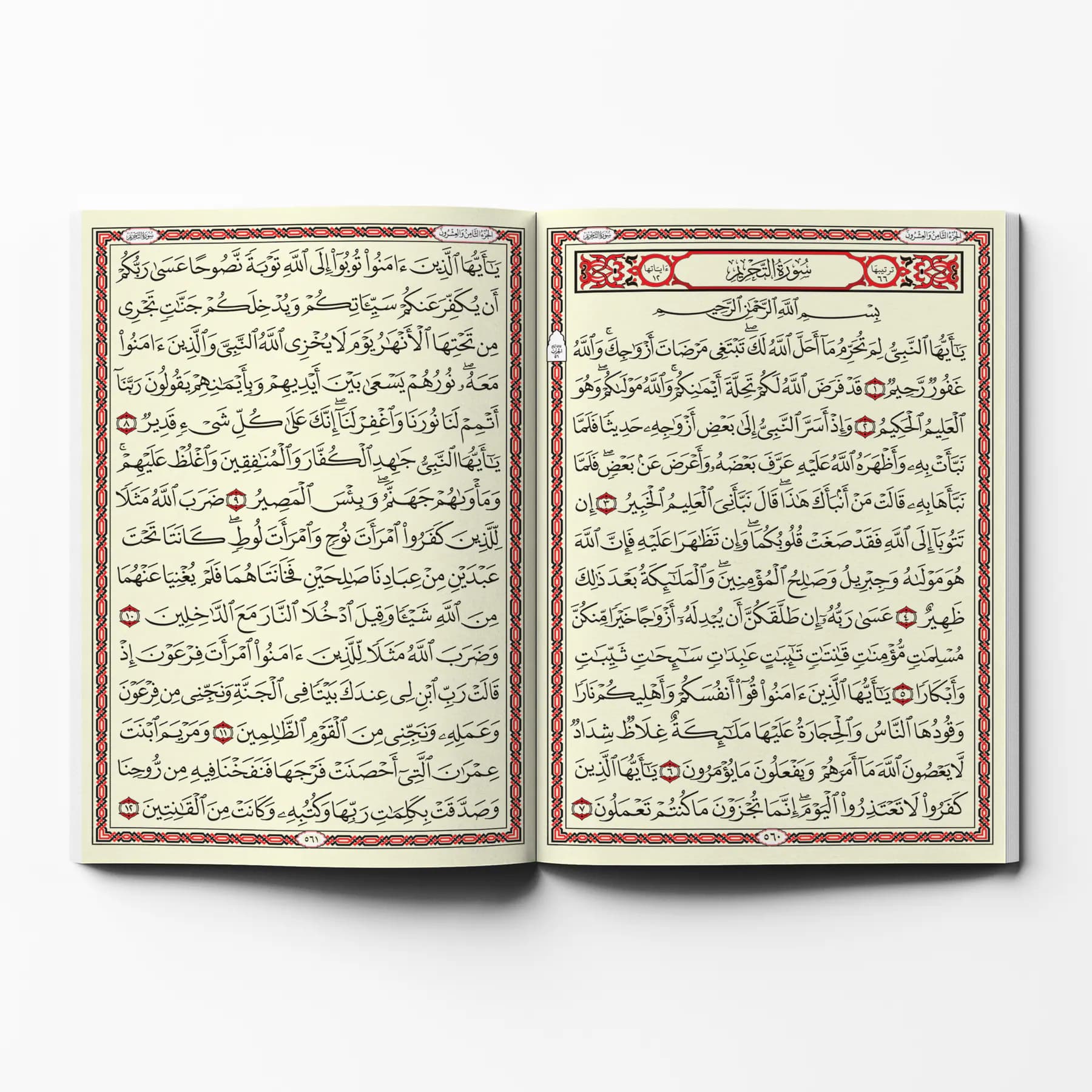 معاينة من داخل الكتاب